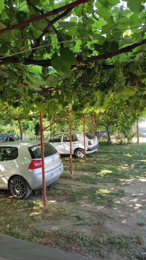 Kastrati Apartments Ulcinj Zewnętrze zdjęcie